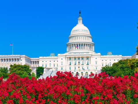 Bill to Create 'Starter 401ks' Introduced in Senate